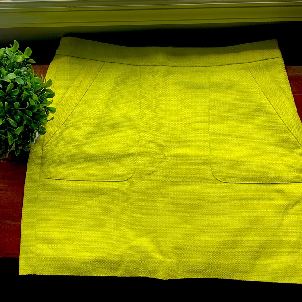 Loft Lined Mini Skirt